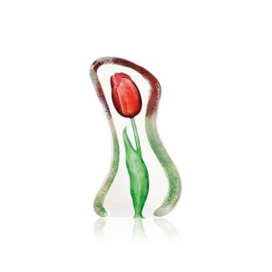 Tulip (small)