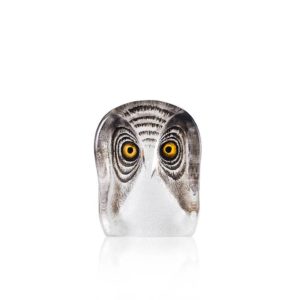 Wildlife Owl (small)